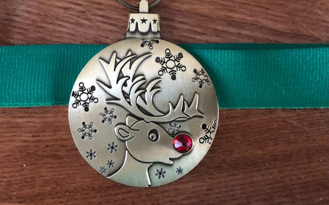 Rudolf Run raises more than £260 for Project 16:15