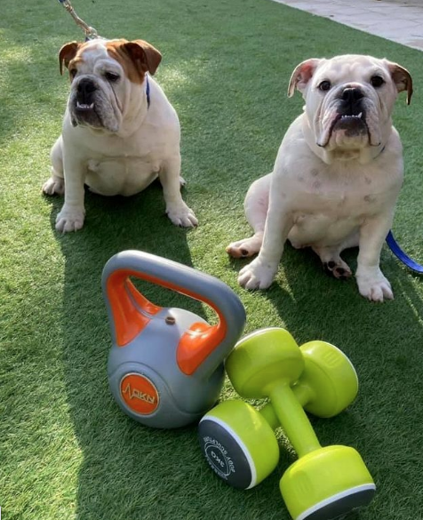 New workouts for the winter