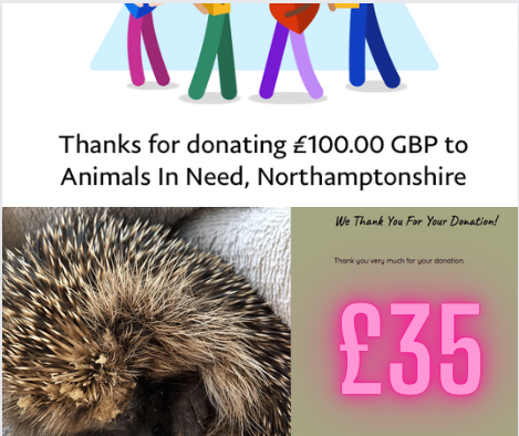Animals in Need and Deanshanger Hedgehog Rescue